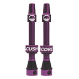 CushCore Valve Set