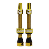 CushCore Valve Set