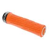 Ergon GE1 Evo Grips