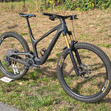 DEMO - 2022 Bold Linkin 150 Ultimate