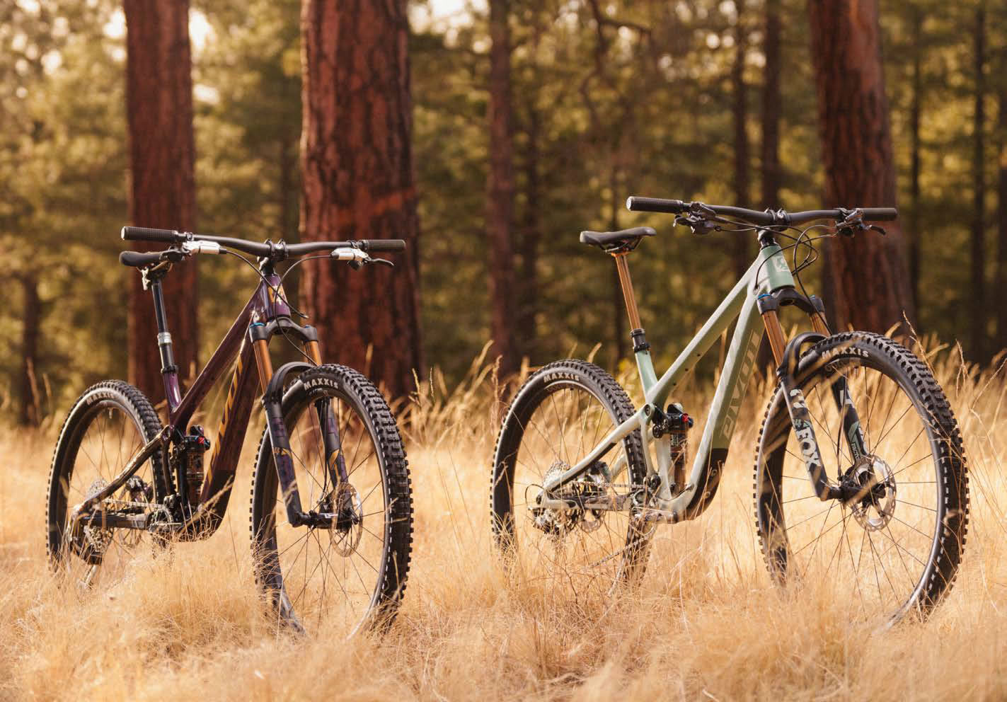 pivot-trailcat-bikes-A.jpg pivot-trailcat-bikes-A.jpg